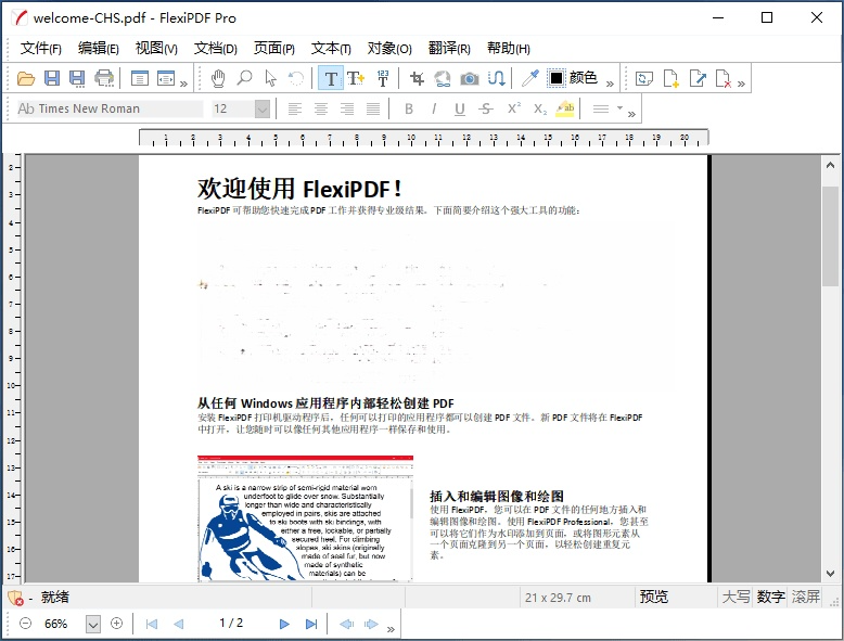 FlexiPDF Pro 2025.404.1112 x64 中文直装特别授权版